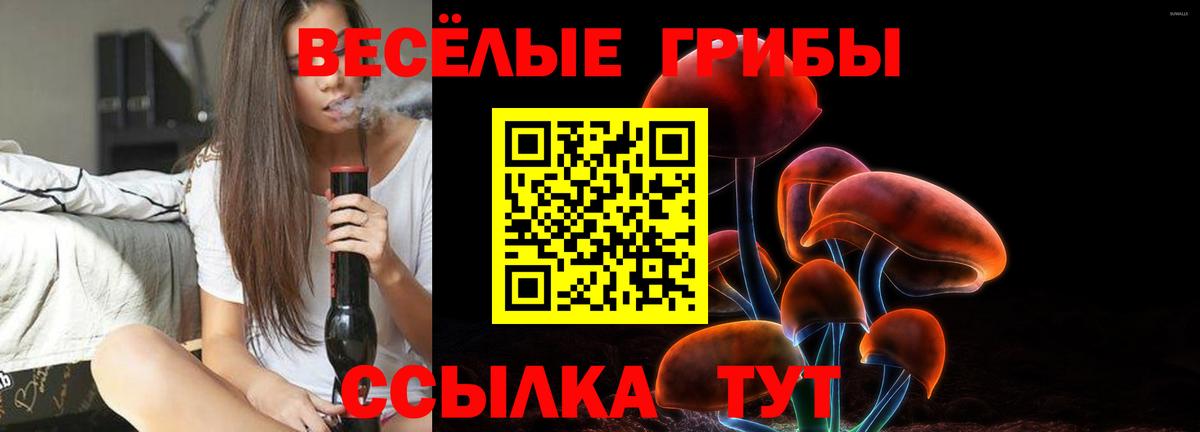 Псилоцибиновые грибы мицелий Кумертау
